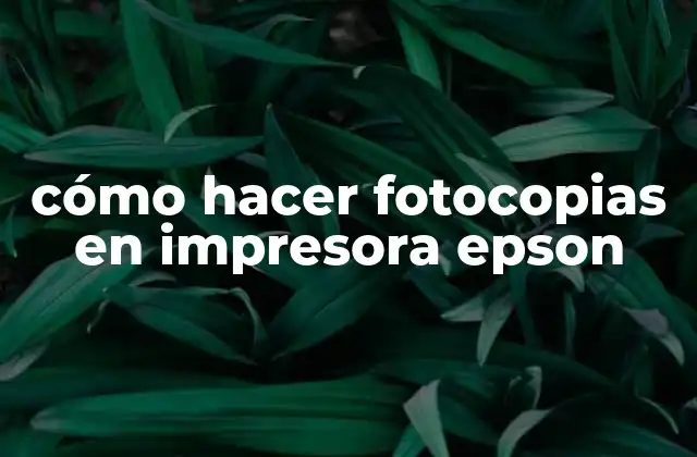 Cómo Hacer Fotocopias en Impresora Epson