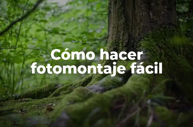 Cómo Hacer Fotomontaje Fácil