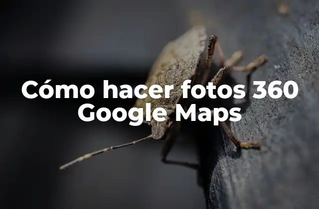 Cómo Hacer Fotos 360 Google Maps