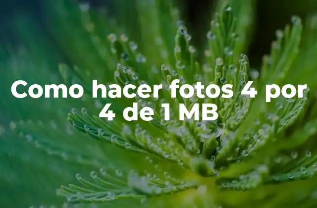 Como Hacer Fotos 4 por 4 de 1 Mb