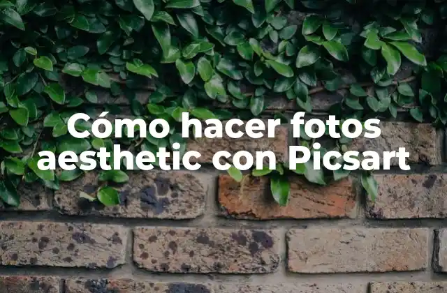 Cómo Hacer Fotos Aesthetic con Picsart