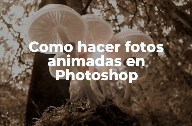 Como Hacer Fotos Animadas en Photoshop