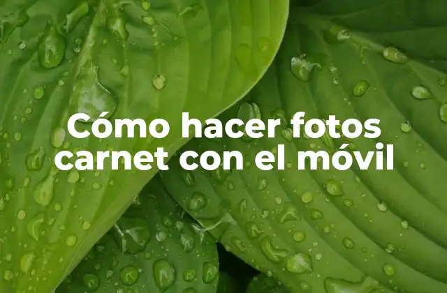 Cómo Hacer Fotos Carnet con el Móvil