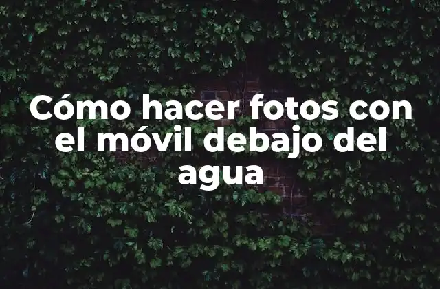 Cómo Hacer Fotos con el Móvil Debajo Del Agua
