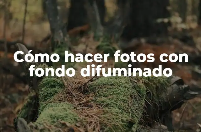 Cómo Hacer Fotos con Fondo Difuminado