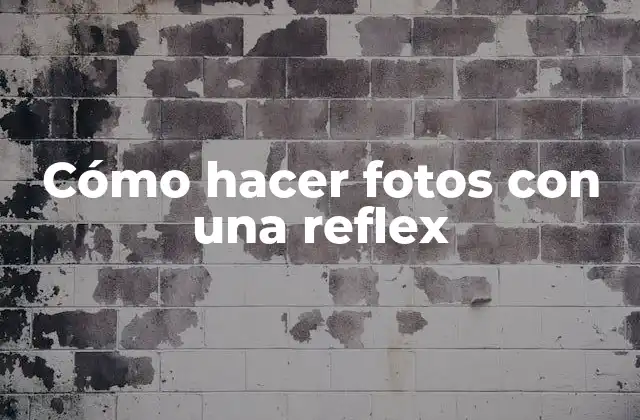 ¿Qué es una reflex y cómo funciona?