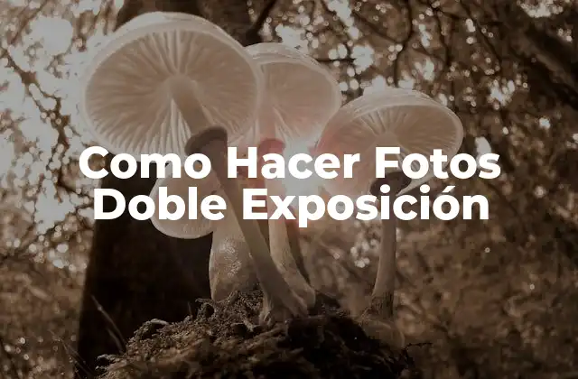 Como Hacer Fotos Doble Exposición