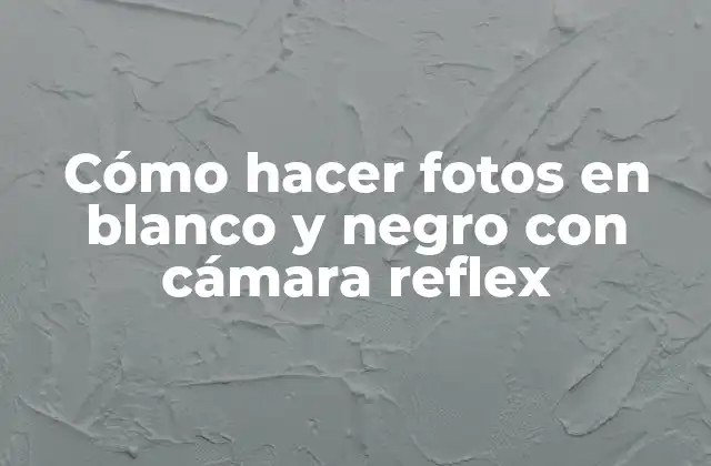 Cómo Hacer Fotos en Blanco y Negro con Cámara Reflex