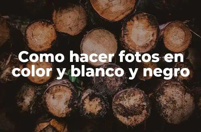 Como Hacer Fotos en Color y Blanco y Negro