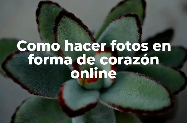 Como Hacer Fotos en Forma de Corazón Online