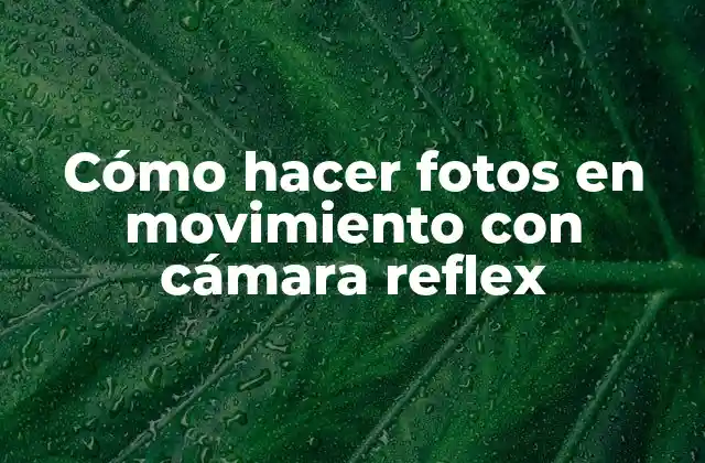 Cómo Hacer Fotos en Movimiento con Cámara Reflex