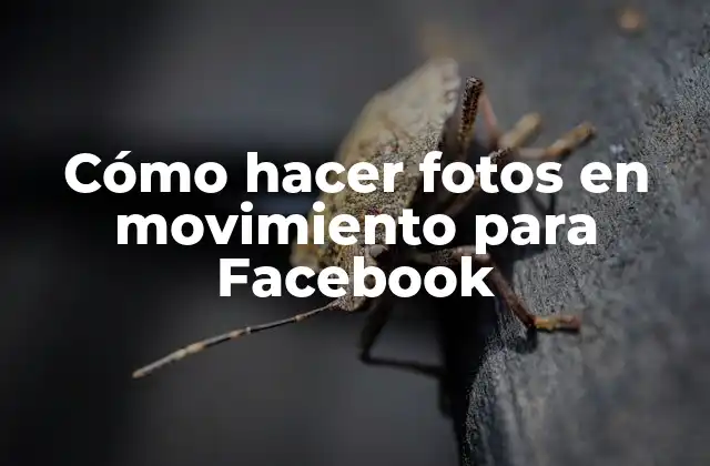 Cómo Hacer Fotos en Movimiento para Facebook