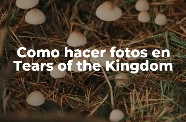 Como Hacer Fotos en Tears Of The Kingdom