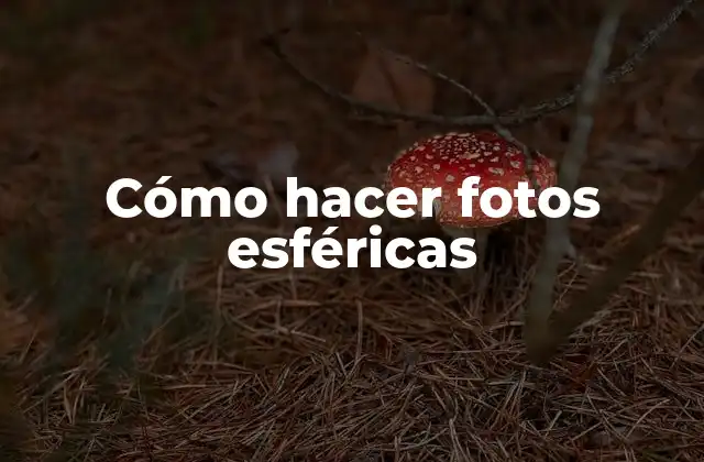 Cómo Hacer Fotos Esféricas