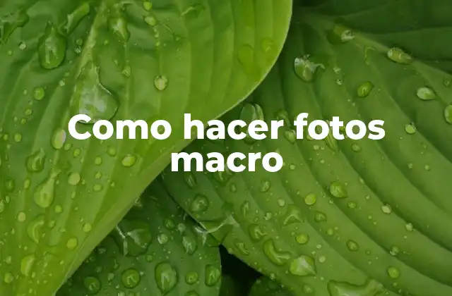 Como Hacer Fotos Macro