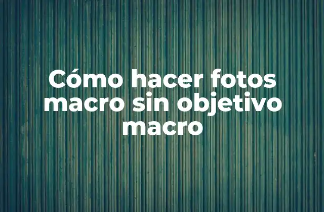 Cómo Hacer Fotos Macro sin Objetivo Macro