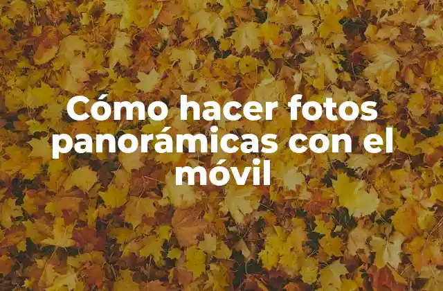 Cómo Hacer Fotos Panorámicas con el Móvil
