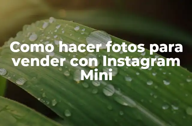 Como Hacer Fotos para Vender con Instagram Mini