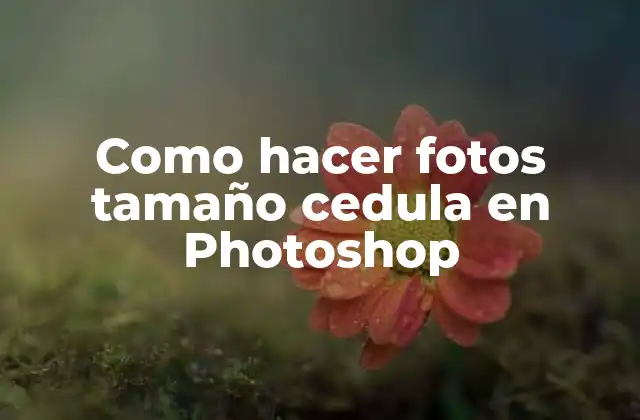Como Hacer Fotos Tamaño Cedula en Photoshop