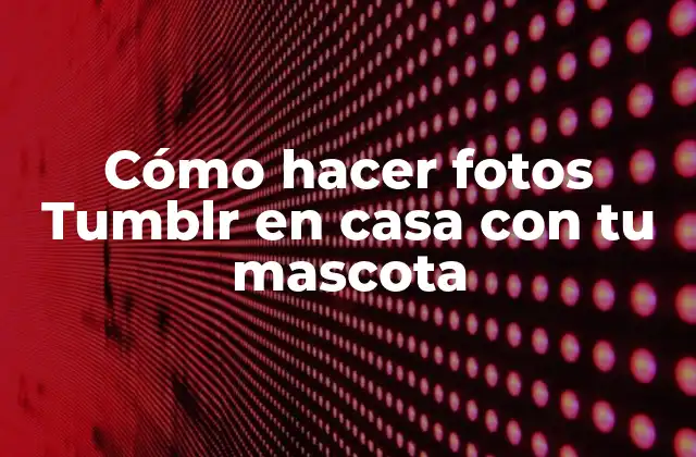 Cómo Hacer Fotos Tumblr en Casa con Tu Mascota