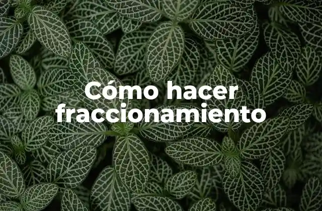 Cómo Hacer Fraccionamiento