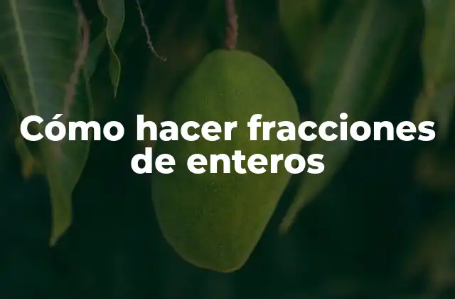 Cómo Hacer Fracciones de Enteros