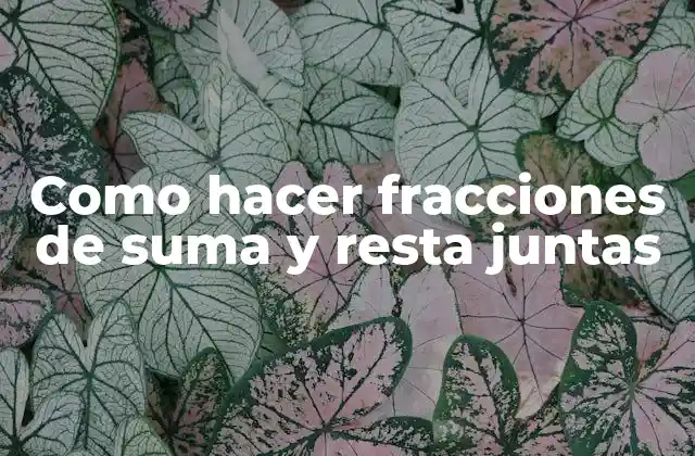 Como Hacer Fracciones de Suma y Resta Juntas