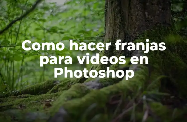 Como Hacer Franjas para Videos en Photoshop