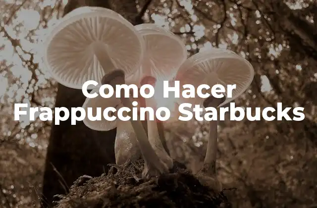 Como Hacer Frappuccino Starbucks