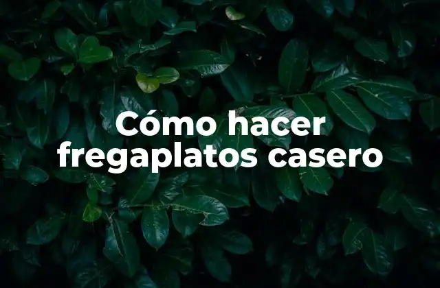 Cómo Hacer Fregaplatos Casero