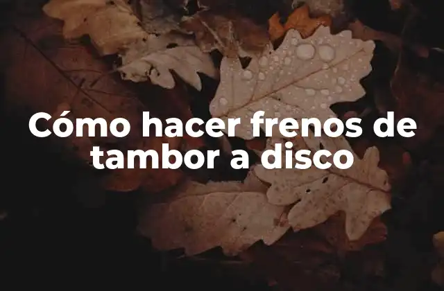 Cómo Hacer Frenos de Tambor a Disco
