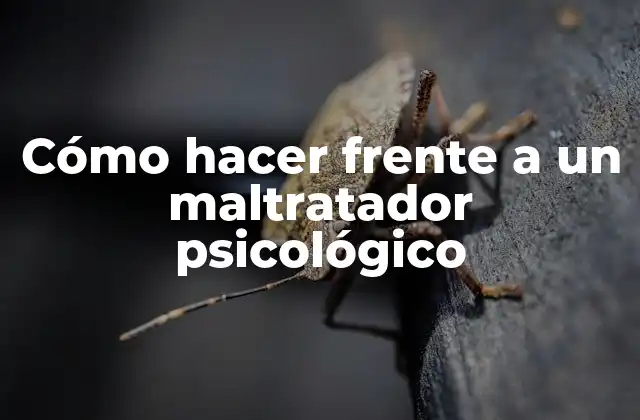 Cómo Hacer Frente a un Maltratador Psicológico