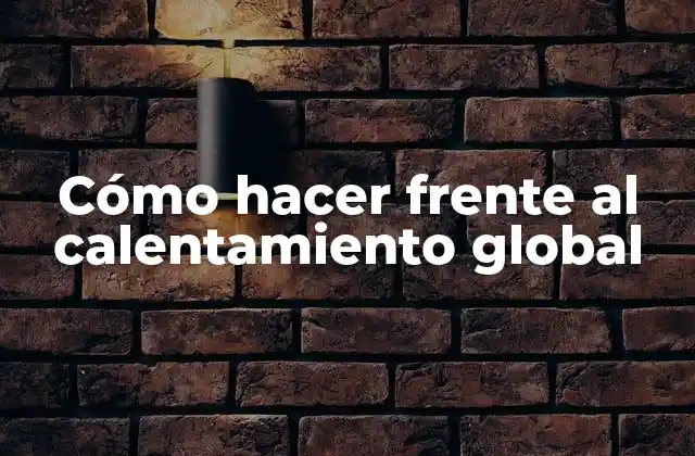 Cómo Hacer Frente Al Calentamiento Global