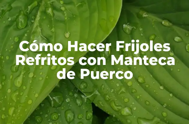 Cómo Hacer Frijoles Refritos con Manteca de Puerco