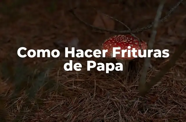 Como Hacer Frituras de Papa