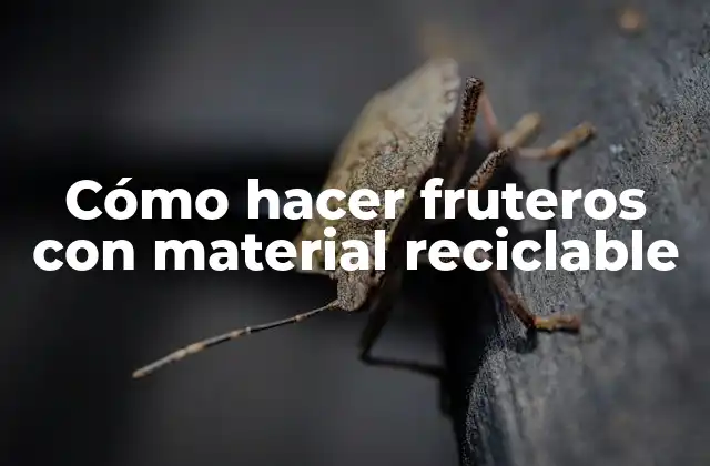 Cómo Hacer Fruteros con Material Reciclable