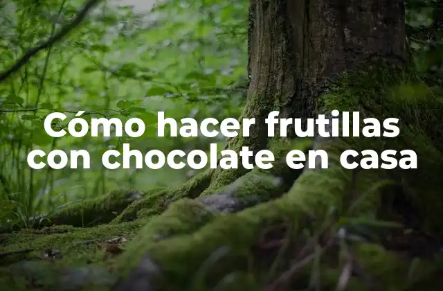 Cómo Hacer Frutillas con Chocolate en Casa