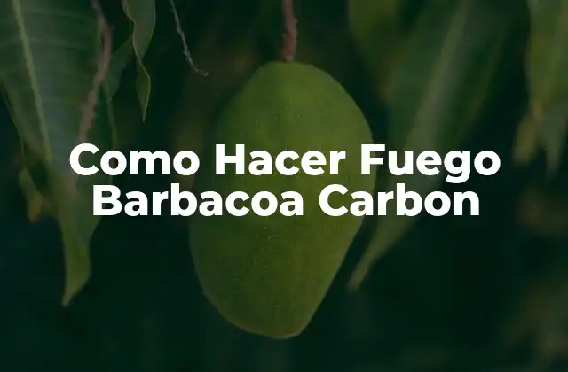 Como Hacer Fuego Barbacoa Carbon