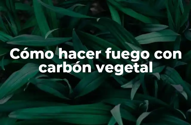 Cómo Hacer Fuego con Carbón Vegetal