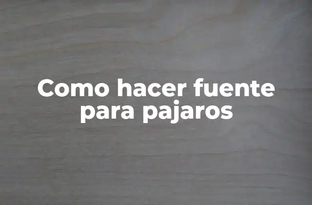 Como Hacer Fuente para Pajaros