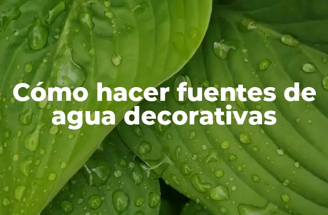 Cómo Hacer Fuentes de Agua Decorativas