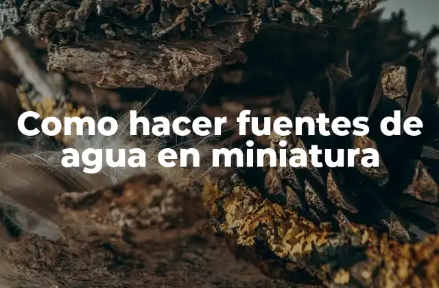 Como Hacer Fuentes de Agua en Miniatura