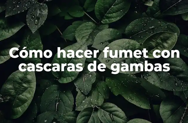 Cómo Hacer Fumet con Cascaras de Gambas