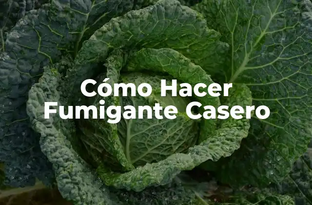 Cómo Hacer Fumigante Casero