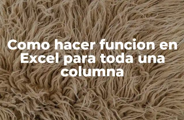 Como Hacer Funcion en Excel para Toda una Columna