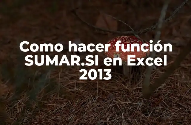 ¿Qué es la función SUMAR.SI en Excel 2013?