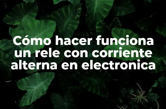 Cómo Hacer Funciona un Rele con Corriente Alterna en Electronica