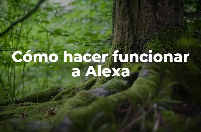 Cómo Hacer Funcionar a Alexa