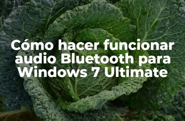 Cómo Hacer Funcionar Audio Bluetooth para Windows 7 Ultimate