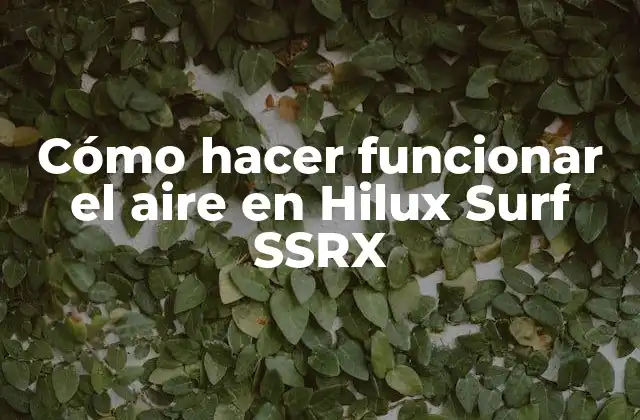 Cómo Hacer Funcionar el Aire en Hilux Surf Ssrx
